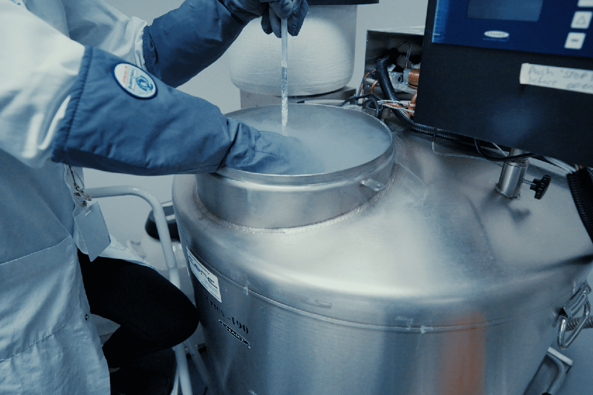 Lab technician pulling out a cryopreserved sperm straws from a liquid nitrogen tank