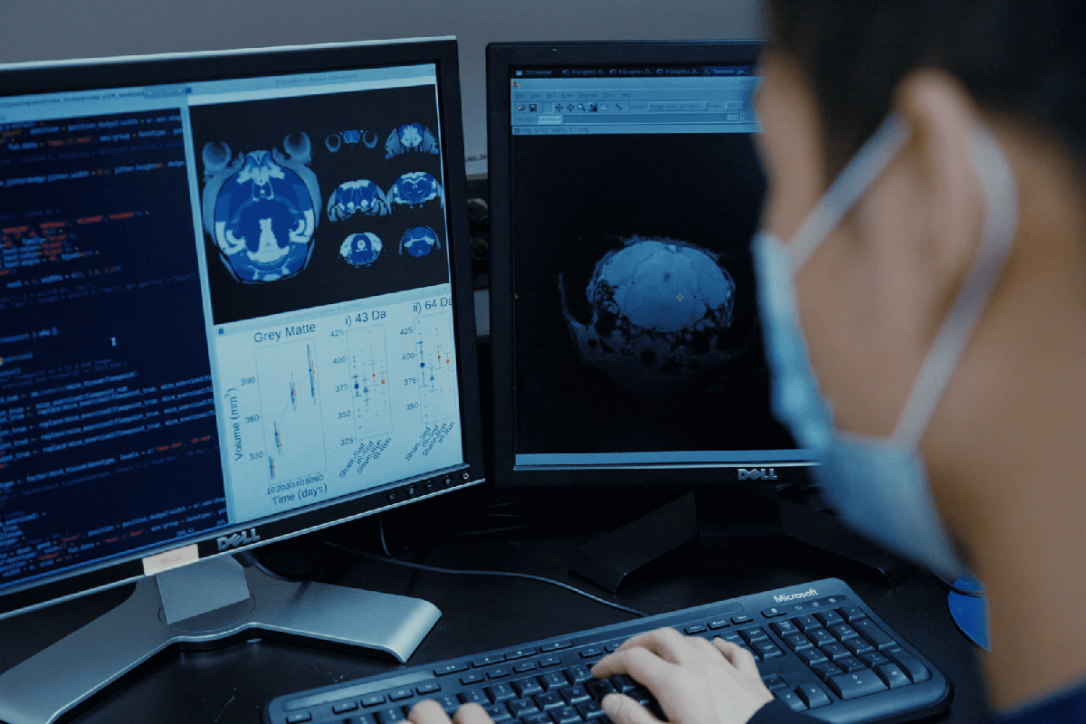 Lab technician looking at mouse brain MRI images on a computer screen.
